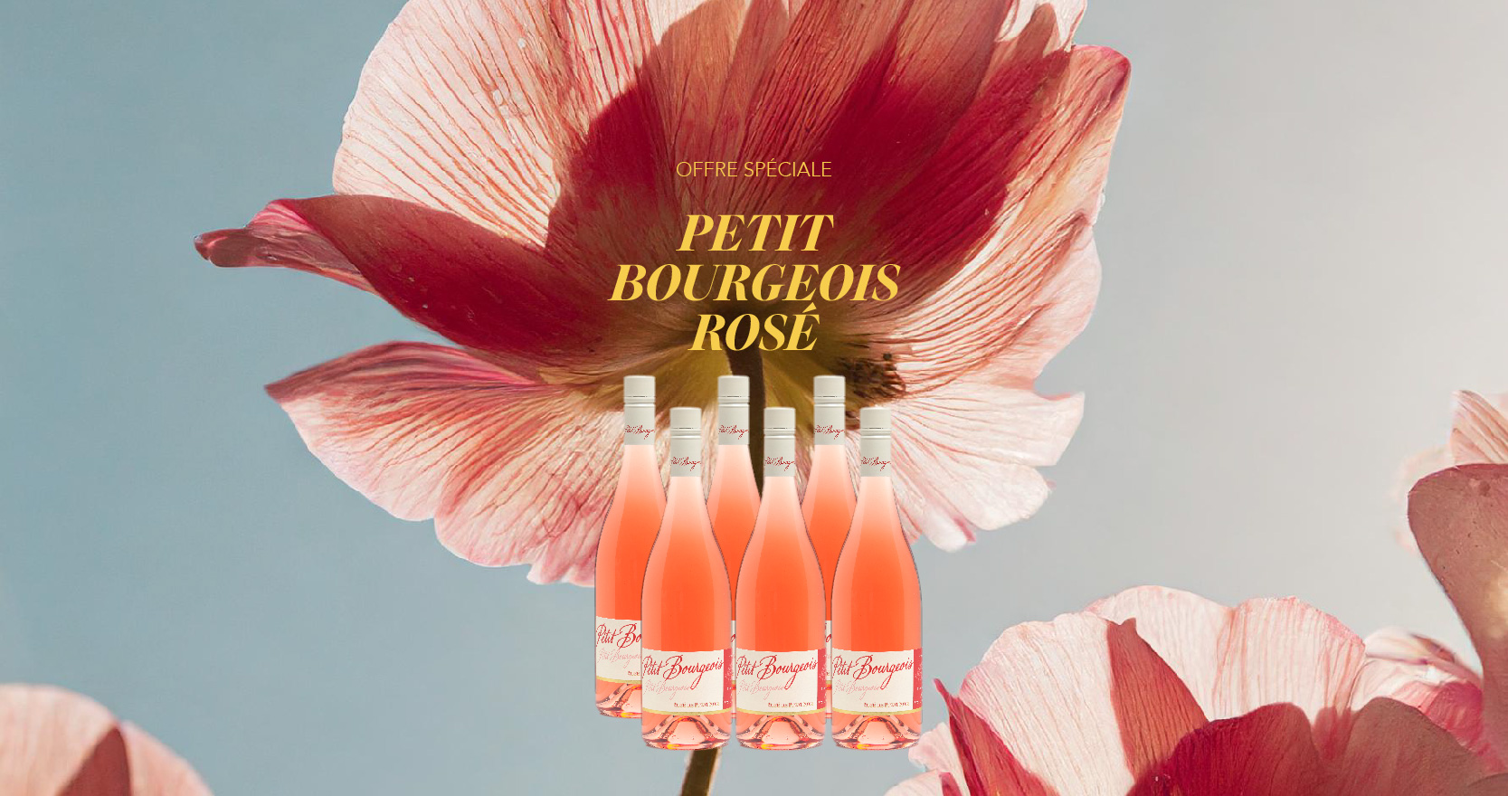 Petit Bourgeois rosé 2022