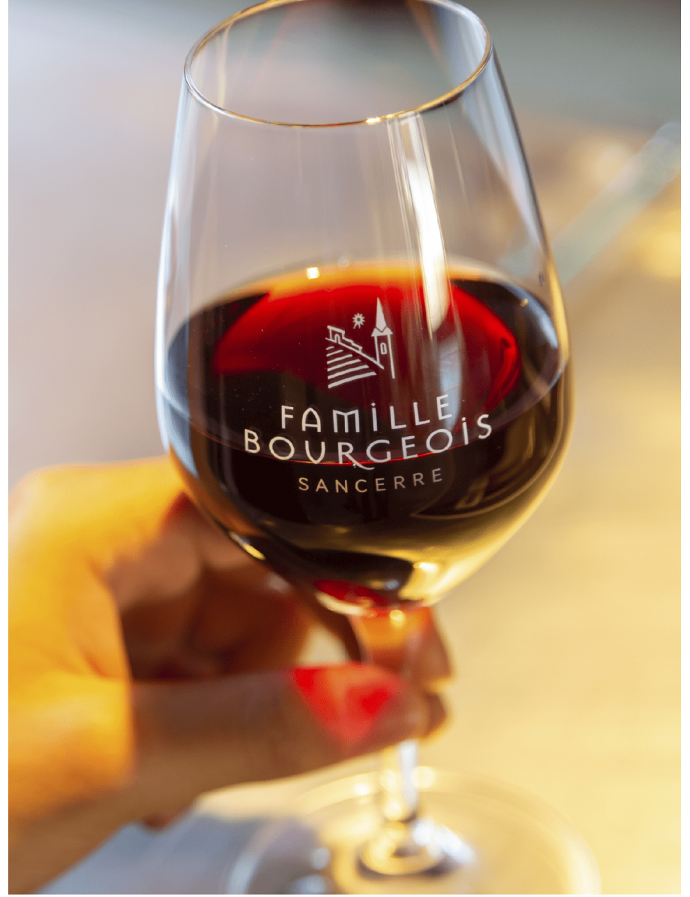 IGP Val de Loire Henri Bourgeois Petit Bourgeois franc